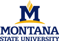 Montana State University