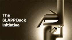 The SLAPP Back Initiative